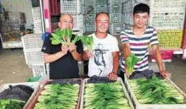 郑州菜价最新爆料,涨跌波动，市民生活受影响